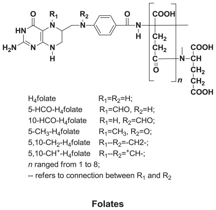 https://cdn.ncbi.nlm.nih.gov/pmc/blobs/74ee/9333424/58e6f4d85070/jfda-25-01-148f6.jpg