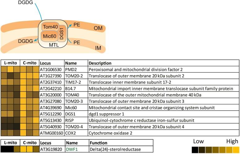 https://cdn.ncbi.nlm.nih.gov/pmc/blobs/74ef/10069894/a2af77ed0e92/kiad035f7.jpg