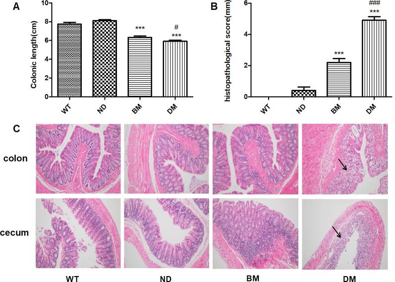https://cdn.ncbi.nlm.nih.gov/pmc/blobs/74ef/10947657/3dd2dba8ce7c/pone.0289820.g005.jpg