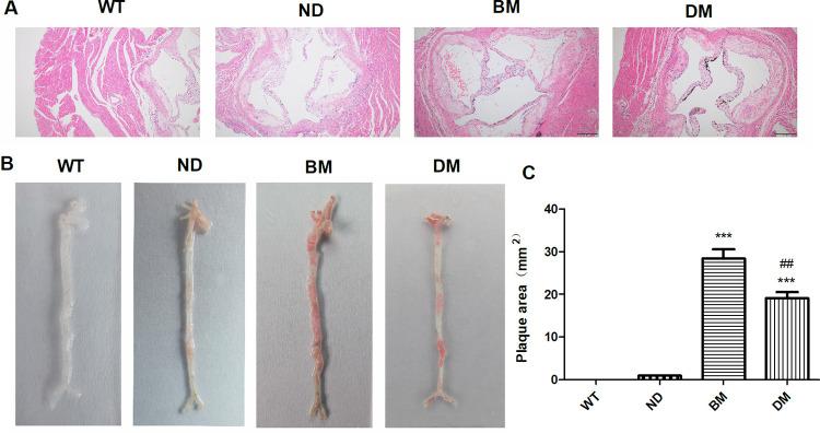 https://cdn.ncbi.nlm.nih.gov/pmc/blobs/74ef/10947657/751693d7cc3c/pone.0289820.g003.jpg