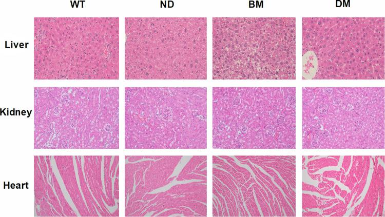 https://cdn.ncbi.nlm.nih.gov/pmc/blobs/74ef/10947657/fdfd0554cfd4/pone.0289820.g004.jpg