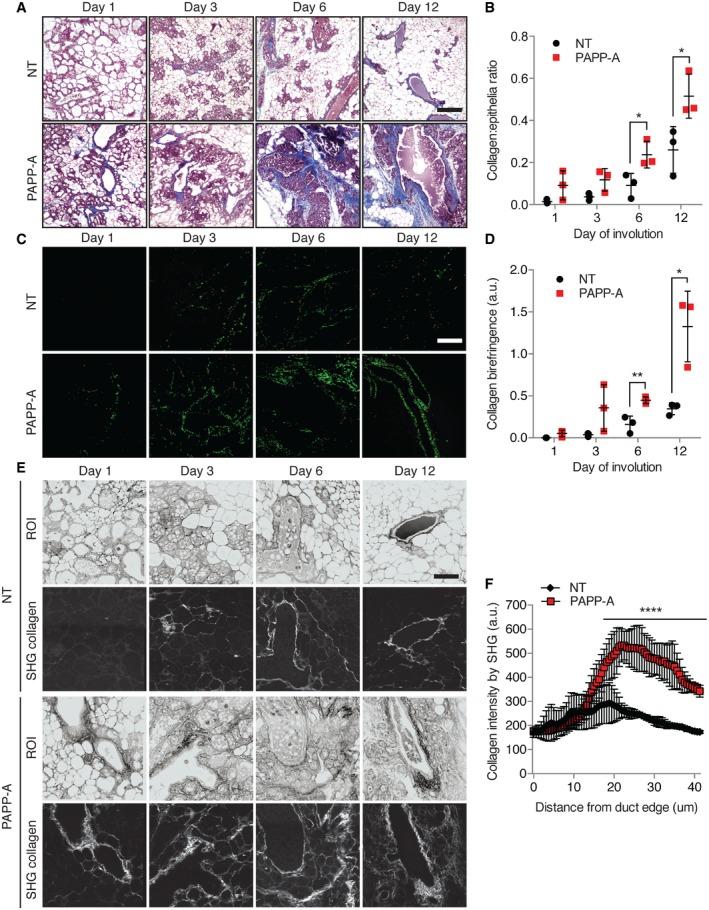 https://cdn.ncbi.nlm.nih.gov/pmc/blobs/74ef/4818749/45df5299f48a/EMMM-8-388-g003.jpg
