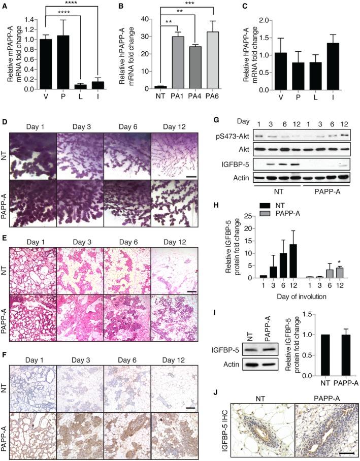 https://cdn.ncbi.nlm.nih.gov/pmc/blobs/74ef/4818749/4dfd8a9d009e/EMMM-8-388-g002.jpg