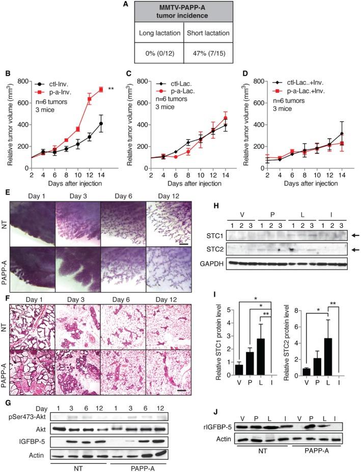 https://cdn.ncbi.nlm.nih.gov/pmc/blobs/74ef/4818749/5171be1f0273/EMMM-8-388-g007.jpg