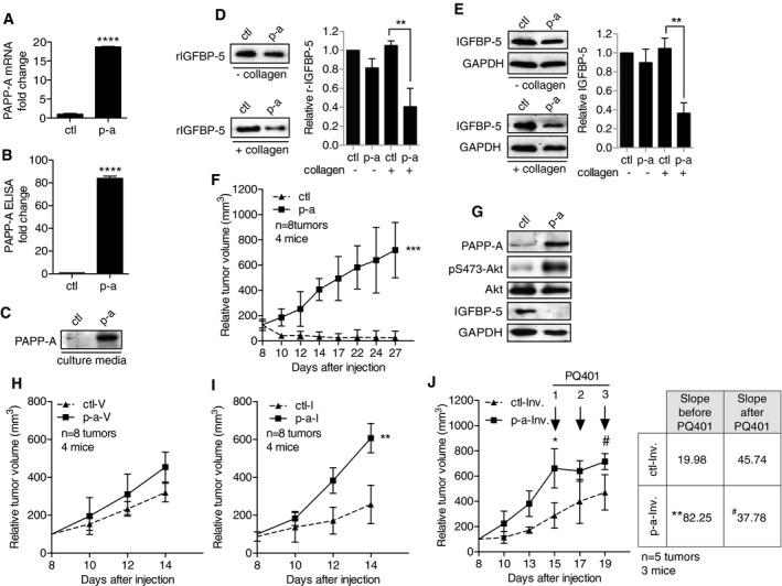 https://cdn.ncbi.nlm.nih.gov/pmc/blobs/74ef/4818749/88590e3e1443/EMMM-8-388-g004.jpg