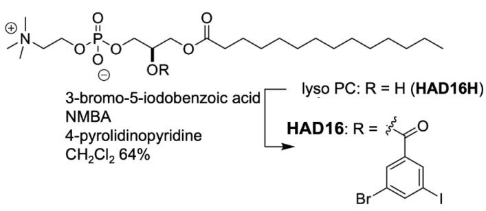 https://cdn.ncbi.nlm.nih.gov/pmc/blobs/74ef/8625833/0ce0cf90460c/membranes-11-00823-sch004.jpg
