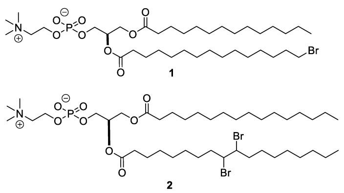 https://cdn.ncbi.nlm.nih.gov/pmc/blobs/74ef/8625833/e040835a4b8d/membranes-11-00823-g001.jpg