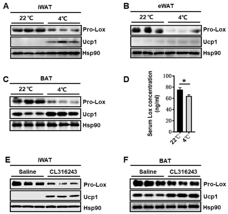 https://cdn.ncbi.nlm.nih.gov/pmc/blobs/74f1/8720662/05997dc6944d/gr1.jpg