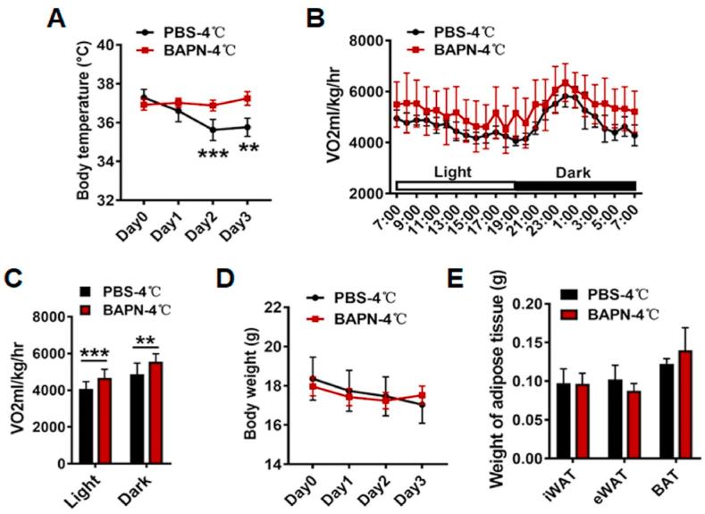 https://cdn.ncbi.nlm.nih.gov/pmc/blobs/74f1/8720662/252b85d20a96/gr2.jpg