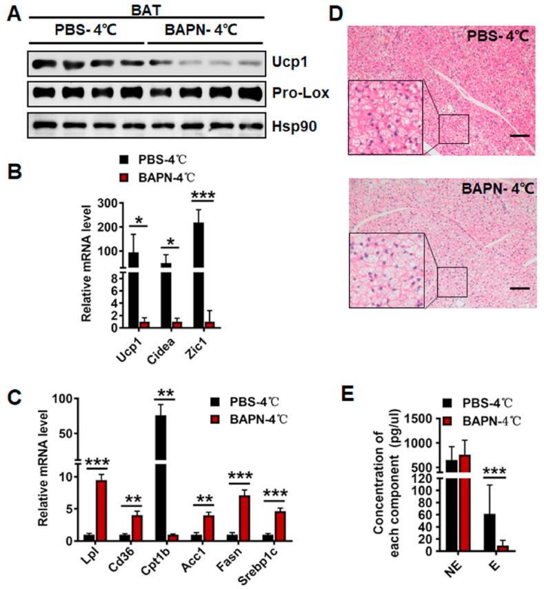 https://cdn.ncbi.nlm.nih.gov/pmc/blobs/74f1/8720662/954ebd7577e3/gr3.jpg