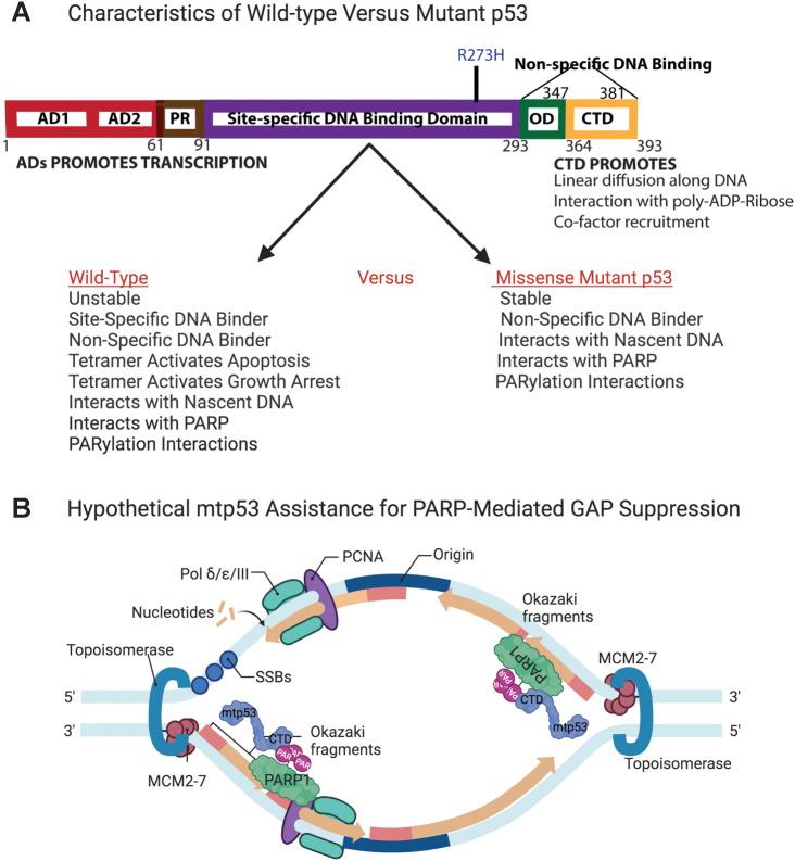 https://cdn.ncbi.nlm.nih.gov/pmc/blobs/74f7/9716242/ea509f979a8f/1799fig7.jpg