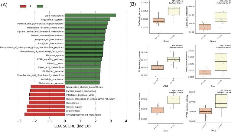 https://cdn.ncbi.nlm.nih.gov/pmc/blobs/74fa/11503954/bb89ecda6938/fiae135fig6.jpg