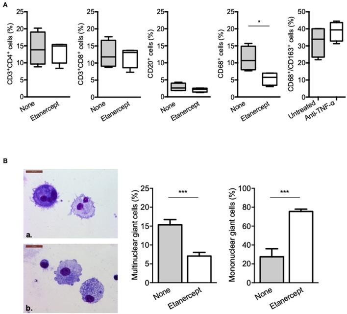https://cdn.ncbi.nlm.nih.gov/pmc/blobs/74fa/6702871/dc971fd9746b/fimmu-10-01947-g0002.jpg