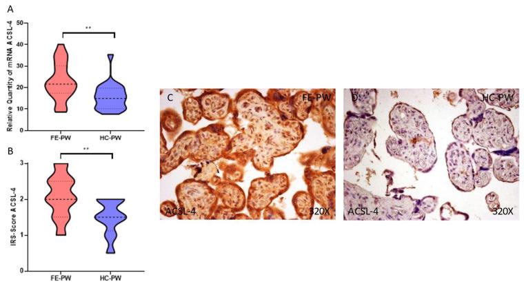 https://cdn.ncbi.nlm.nih.gov/pmc/blobs/74fa/9855415/230a4dd6f9f1/biomolecules-13-00120-g003.jpg