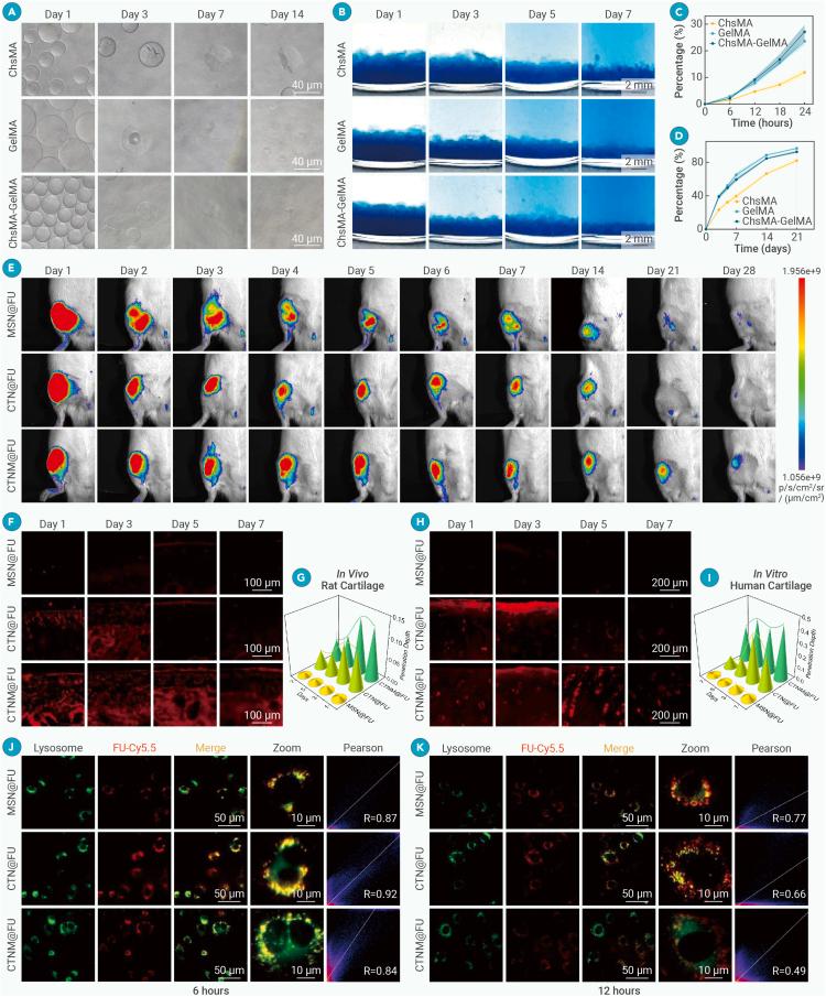 https://cdn.ncbi.nlm.nih.gov/pmc/blobs/74fc/12277764/00f74f891de0/gr1.jpg