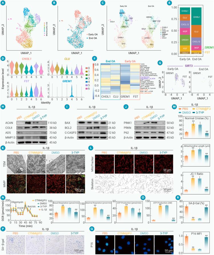 https://cdn.ncbi.nlm.nih.gov/pmc/blobs/74fc/12277764/5c2e41e4708b/gr3.jpg