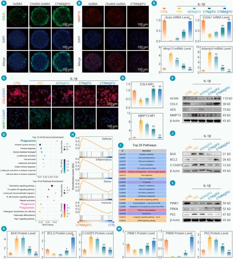 https://cdn.ncbi.nlm.nih.gov/pmc/blobs/74fc/12277764/ca0020a5c26f/gr2.jpg