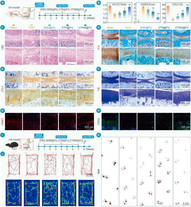 https://cdn.ncbi.nlm.nih.gov/pmc/blobs/74fc/12277764/e0a6e622ed97/gr4.jpg