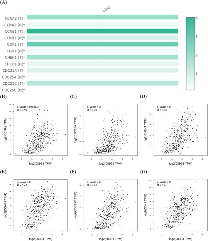 https://cdn.ncbi.nlm.nih.gov/pmc/blobs/74fe/9279955/6ad93be0c952/JCLA-36-e24561-g002.jpg
