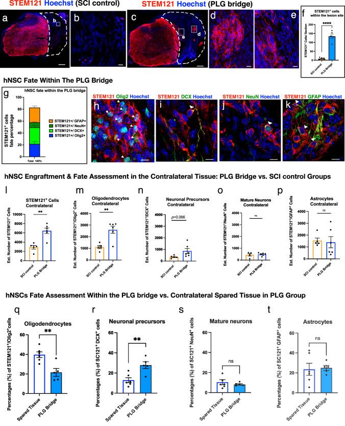 https://cdn.ncbi.nlm.nih.gov/pmc/blobs/74ff/10948859/54b35c503b9a/41536_2024_356_Fig5_HTML.jpg