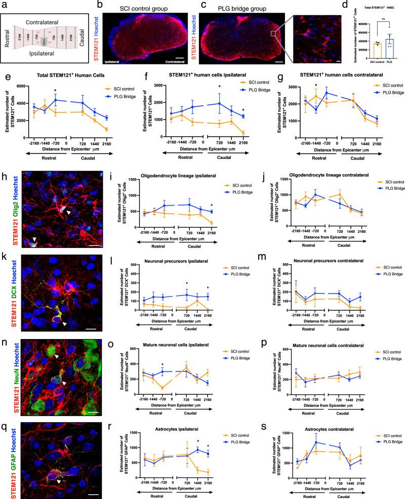 https://cdn.ncbi.nlm.nih.gov/pmc/blobs/74ff/10948859/e9090f665ebc/41536_2024_356_Fig4_HTML.jpg