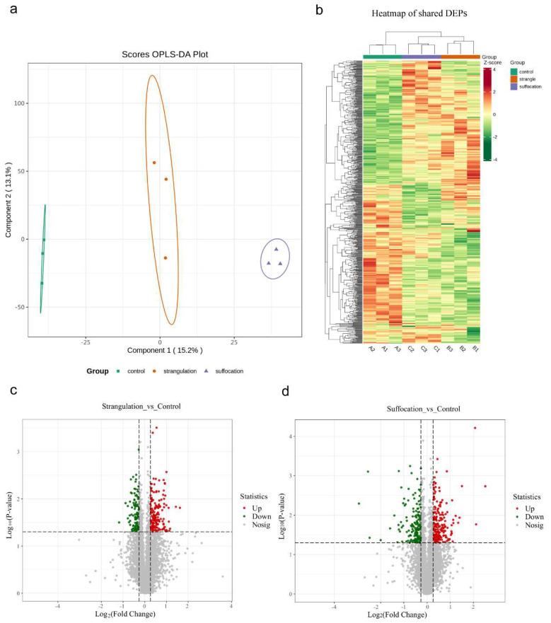 https://cdn.ncbi.nlm.nih.gov/pmc/blobs/74ff/11641810/0d81081f1432/ijms-25-12710-g001.jpg