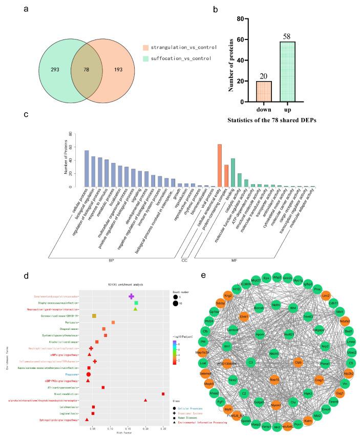 https://cdn.ncbi.nlm.nih.gov/pmc/blobs/74ff/11641810/46a5aaabd6df/ijms-25-12710-g002.jpg