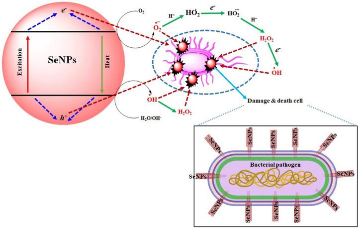https://cdn.ncbi.nlm.nih.gov/pmc/blobs/7501/7806947/124ff9b06757/41598_2020_80327_Fig12_HTML.jpg