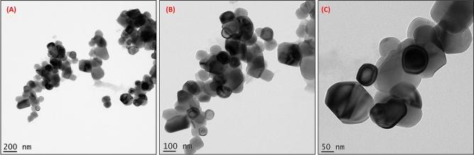 https://cdn.ncbi.nlm.nih.gov/pmc/blobs/7501/7806947/1d7eb16679f4/41598_2020_80327_Fig3_HTML.jpg