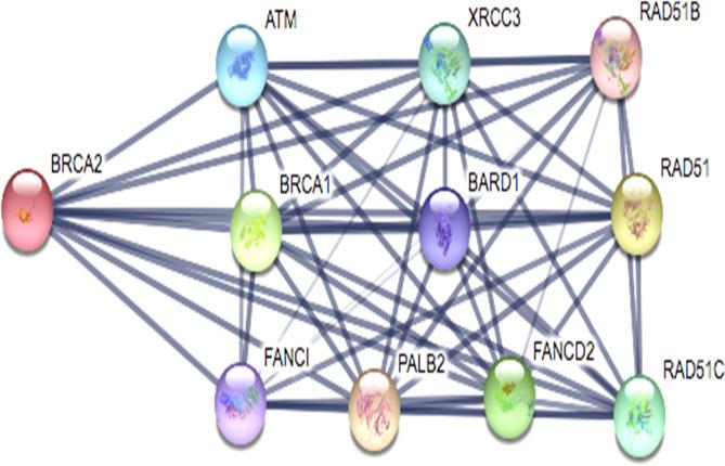 https://cdn.ncbi.nlm.nih.gov/pmc/blobs/7501/7806947/4732dd0c717d/41598_2020_80327_Fig7_HTML.jpg