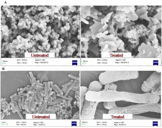https://cdn.ncbi.nlm.nih.gov/pmc/blobs/7501/7806947/5cf09570d08e/41598_2020_80327_Fig11_HTML.jpg