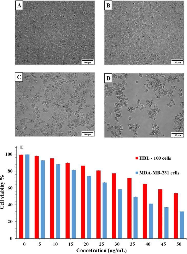 https://cdn.ncbi.nlm.nih.gov/pmc/blobs/7501/7806947/f5a4d37c2581/41598_2020_80327_Fig6_HTML.jpg