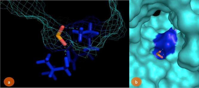 https://cdn.ncbi.nlm.nih.gov/pmc/blobs/7501/7806947/ff8b903213f9/41598_2020_80327_Fig8_HTML.jpg