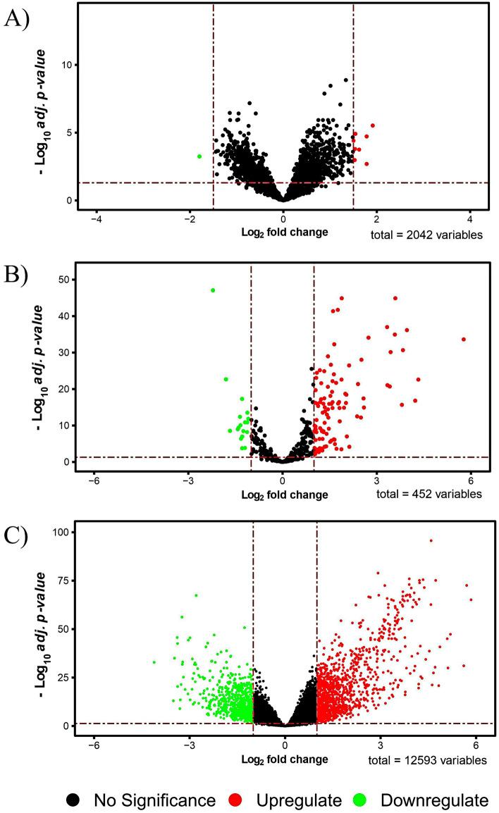 https://cdn.ncbi.nlm.nih.gov/pmc/blobs/7501/8943026/b491fda32c9d/41598_2022_8867_Fig3_HTML.jpg