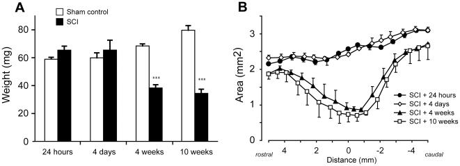https://cdn.ncbi.nlm.nih.gov/pmc/blobs/7502/2918504/0f4891190bf8/pone.0012021.g004.jpg