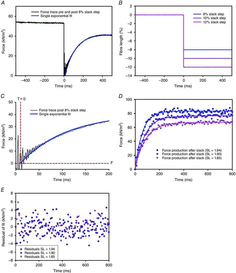 https://cdn.ncbi.nlm.nih.gov/pmc/blobs/7503/5023691/f43c240668d2/TJP-594-5237-g001.jpg