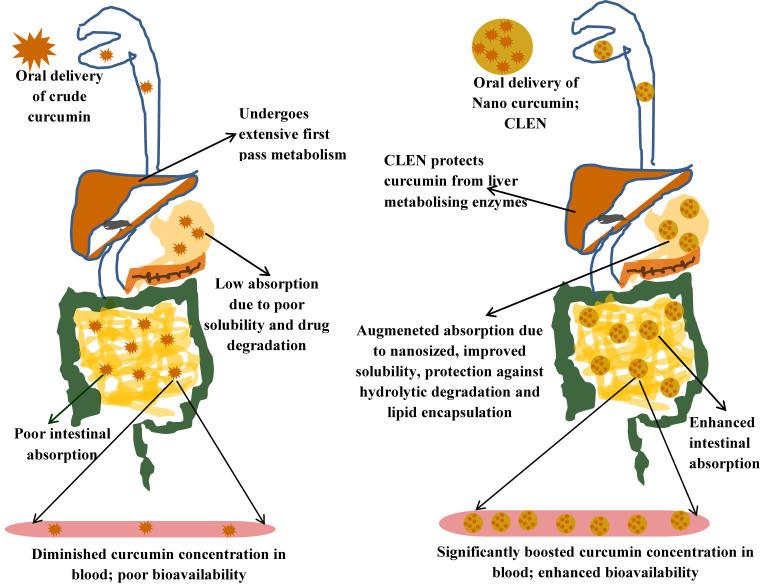 https://cdn.ncbi.nlm.nih.gov/pmc/blobs/7503/7593682/08750c53988b/fbioe-08-00879-g008.jpg