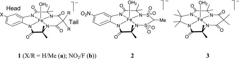https://cdn.ncbi.nlm.nih.gov/pmc/blobs/7505/10091481/6d0a347d370a/ic3c00104_0002.jpg
