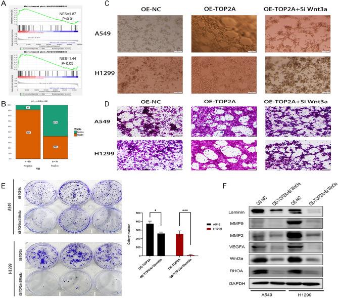 https://cdn.ncbi.nlm.nih.gov/pmc/blobs/7505/10322841/0bd354187438/41598_2023_38117_Fig8_HTML.jpg