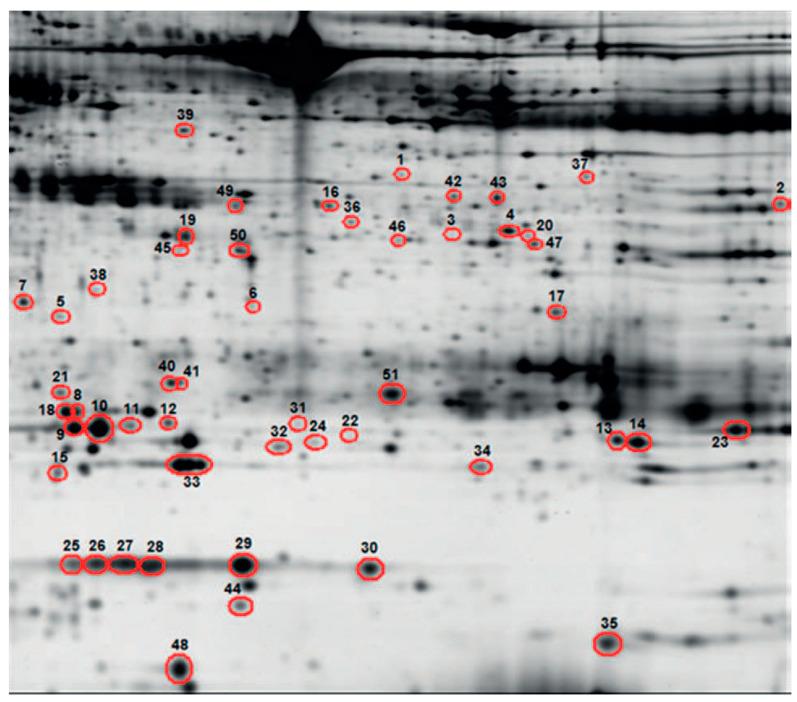 https://cdn.ncbi.nlm.nih.gov/pmc/blobs/7507/9776496/7829918626d2/diagnostics-12-02949-g001.jpg