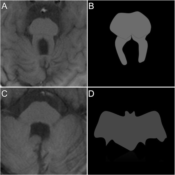 https://cdn.ncbi.nlm.nih.gov/pmc/blobs/7508/11293500/99b952ec38ca/gr5.jpg