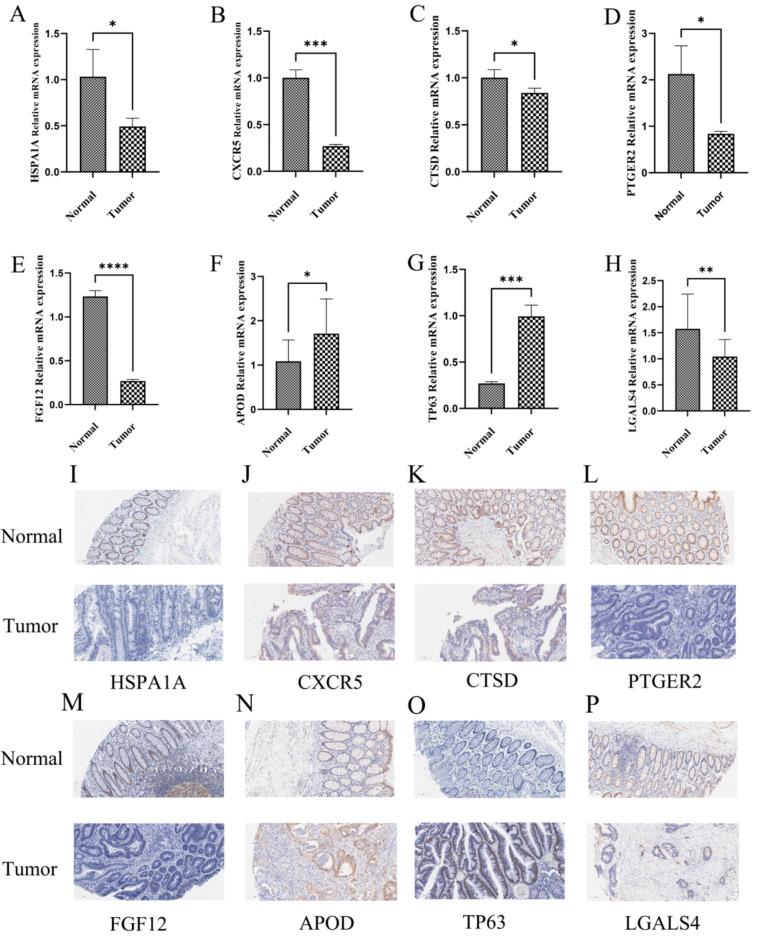 https://cdn.ncbi.nlm.nih.gov/pmc/blobs/750a/11489786/38144dfb13a5/41598_2024_75270_Fig8_HTML.jpg