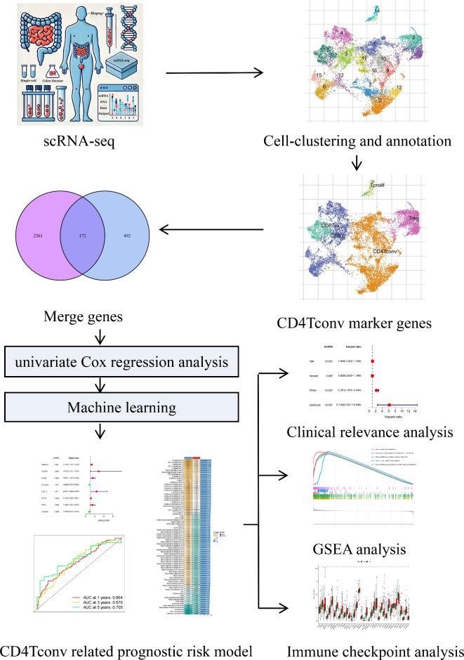 https://cdn.ncbi.nlm.nih.gov/pmc/blobs/750a/11489786/e555a147dfbf/41598_2024_75270_Fig1_HTML.jpg