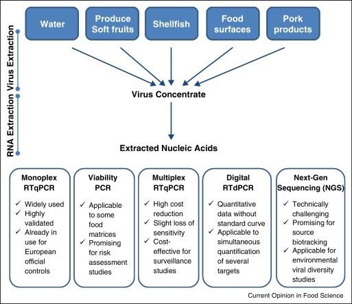 https://cdn.ncbi.nlm.nih.gov/pmc/blobs/750b/7104227/ae220624ba00/gr2.jpg