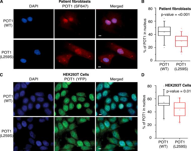 https://cdn.ncbi.nlm.nih.gov/pmc/blobs/750b/9014792/1bc2393a67d2/JEM_20211681_Fig4.jpg