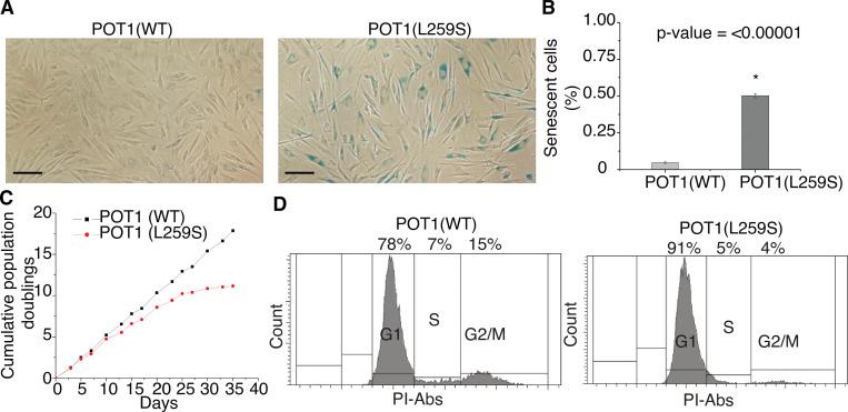 https://cdn.ncbi.nlm.nih.gov/pmc/blobs/750b/9014792/388a5d414ac1/JEM_20211681_Fig9.jpg