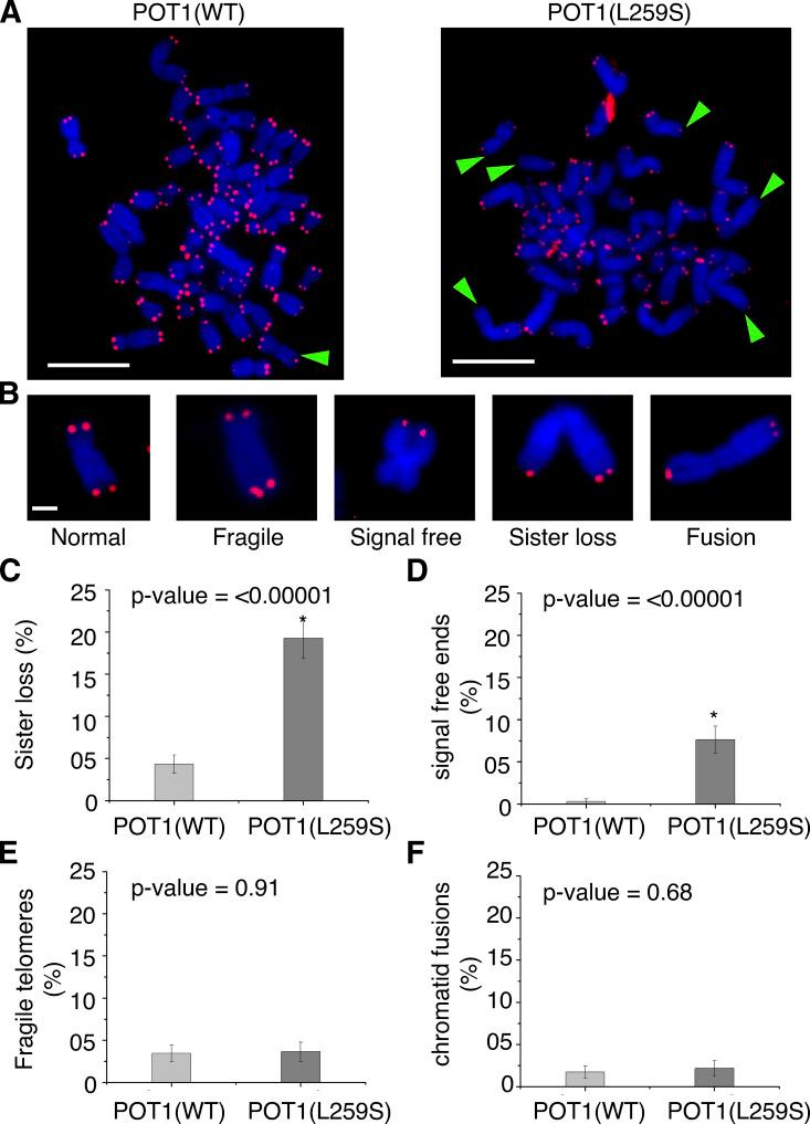 https://cdn.ncbi.nlm.nih.gov/pmc/blobs/750b/9014792/7a0e8693ecfd/JEM_20211681_Fig7.jpg