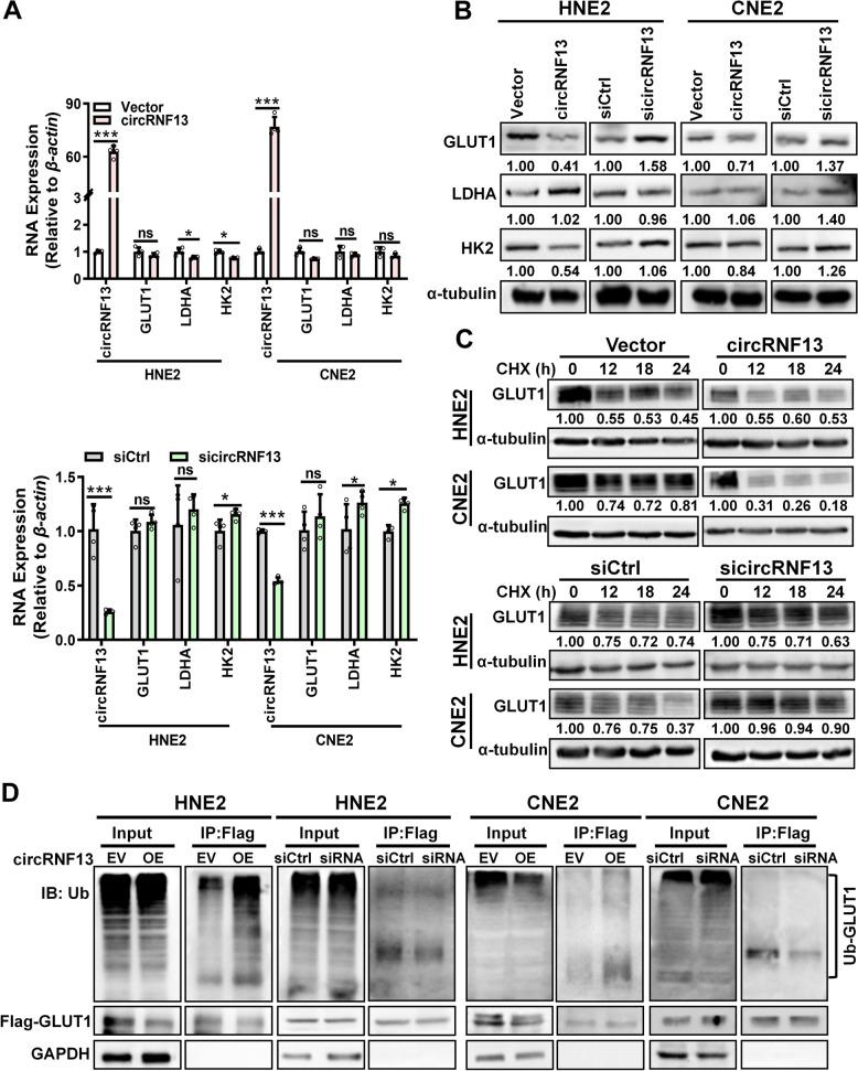 https://cdn.ncbi.nlm.nih.gov/pmc/blobs/750c/8406723/75309c7eca08/12943_2021_1409_Fig5_HTML.jpg