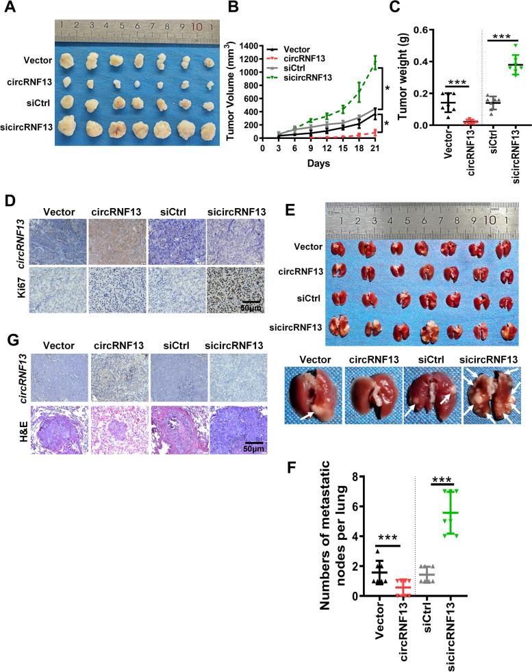 https://cdn.ncbi.nlm.nih.gov/pmc/blobs/750c/8406723/a0af076a9e94/12943_2021_1409_Fig3_HTML.jpg