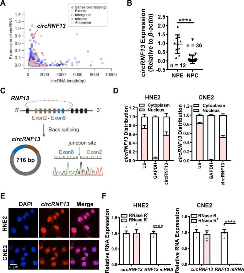 https://cdn.ncbi.nlm.nih.gov/pmc/blobs/750c/8406723/cb2a261ba36b/12943_2021_1409_Fig1_HTML.jpg